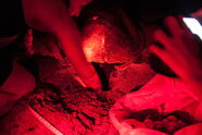 Nachtarbeit mit Schildkröte bei rotem Licht
