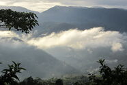 Orosital