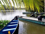 Boote