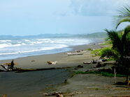 Strand Matapalo