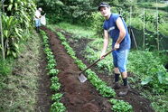 Farmarbeit auf dem Feld