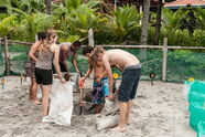 Sandarbeit in der Brutstation